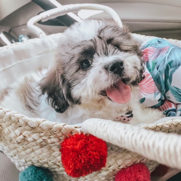 Meet your posher! Feel free to make an offer! - Picture 6 of 7